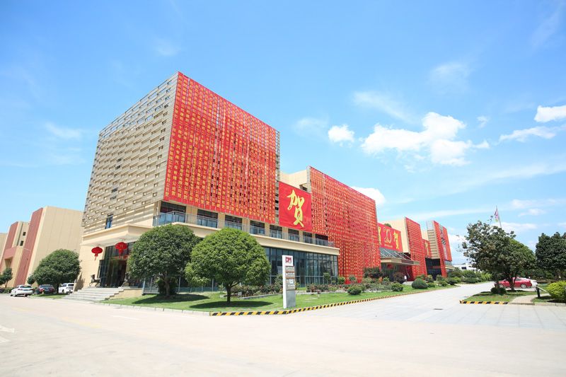 明星企业尊龙凯时人生就是搏光学逆袭之路